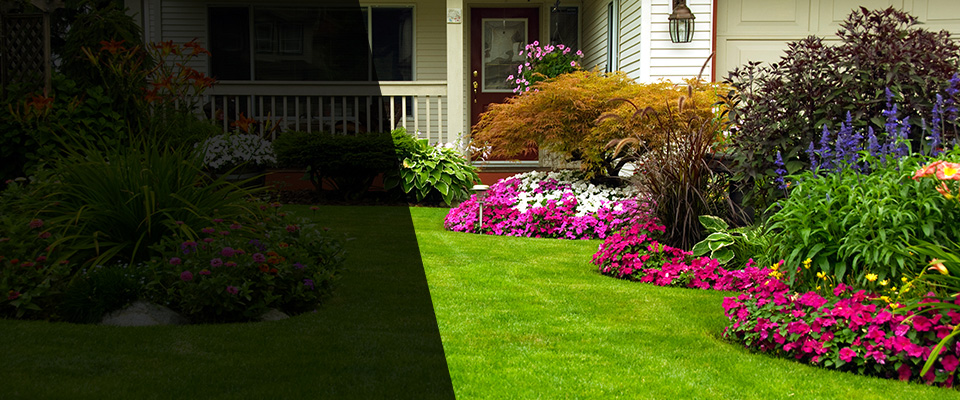 Bridgeport Landscapers